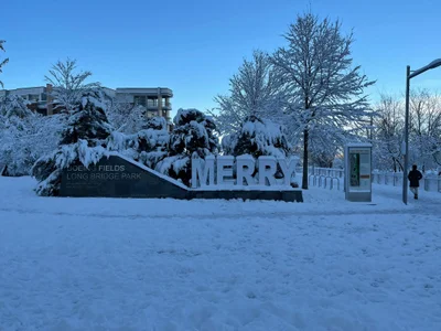 Arlington - Photo 4