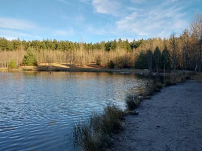 Surrey - Photo 3