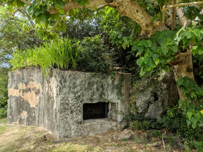 Agat - Photo 3