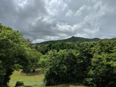 Agat - Photo 5