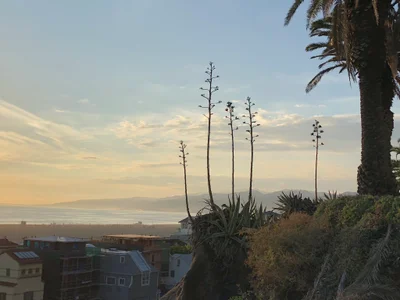 Santa Monica - Photo 4