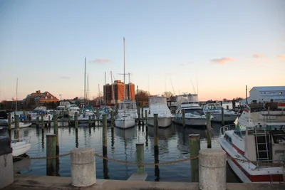 Hampton - Photo 2