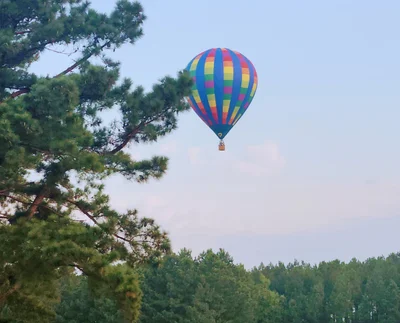 Clarksville - Photo 5