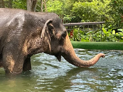 Ko Samui - Photo 2