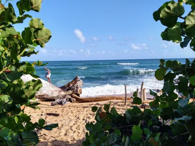 Kapaa - Photo 2