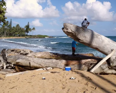 Kapaa - Photo 3