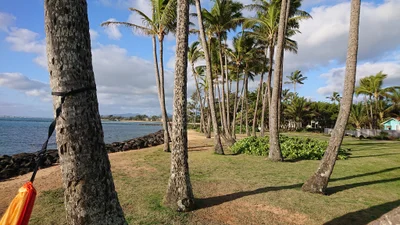 Kapaa - Photo 5