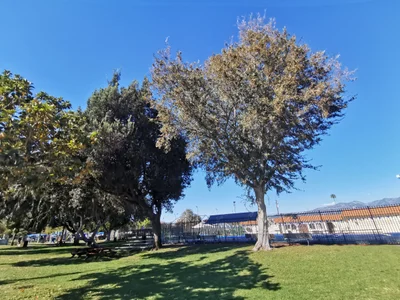 San Gabriel - Photo 2