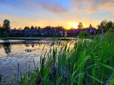 Abbotsford - Photo 2