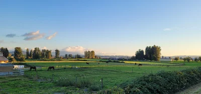 Abbotsford - Photo 5
