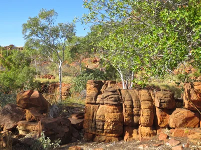 Kimberley Region - Photo 3