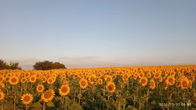 Guichon - Photo 2