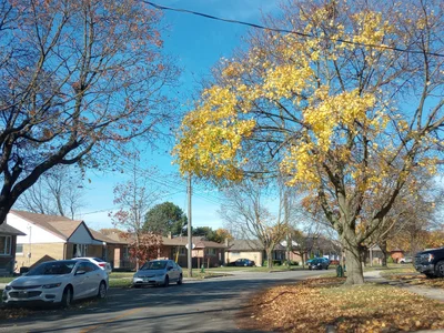 Kitchener - Photo 2