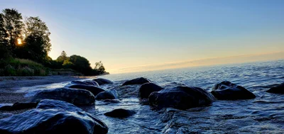 Pickering - Photo 5