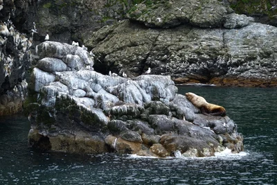 Kenai - Photo 2