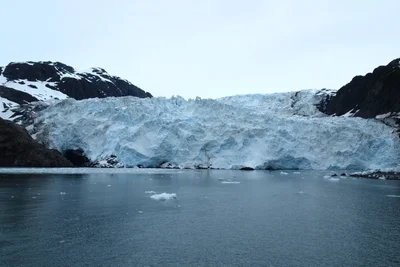 Kenai - Photo 3
