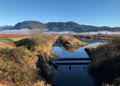Pitt Meadows - Photo 2