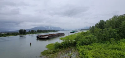 Pitt Meadows - Photo 3