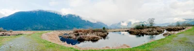 Pitt Meadows - Photo 4