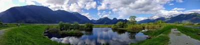 Pitt Meadows - Photo 5