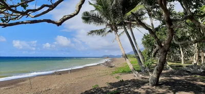 Thio - Photo 2