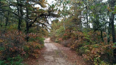 Mashpee - Photo 2