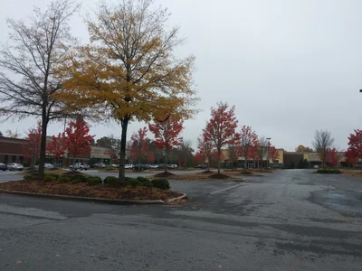 College Park - Photo 2