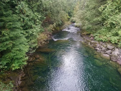 Chilliwack - Photo 5