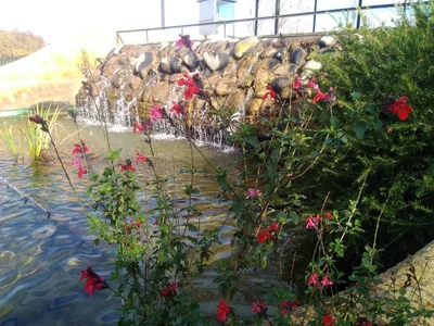 Tordera - Photo 4