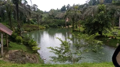 Puerto Quito - Photo 3