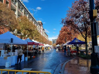 Silver Spring - Photo 2
