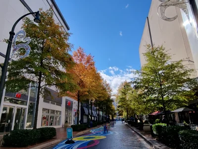 Silver Spring - Photo 3