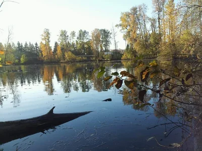 Eugene - Photo 5