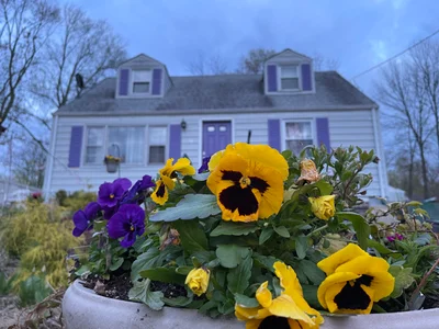 Morristown - Photo 2