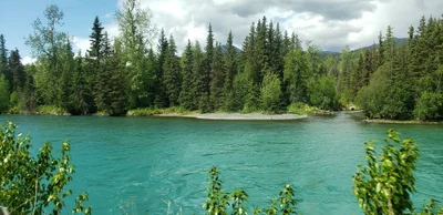 Wasilla - Photo 4
