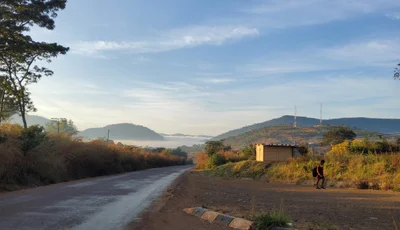 Mazowe - Photo 2