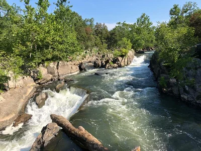 Potomac - Photo 5