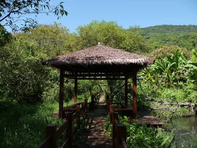 Guangfu Township - Photo 5