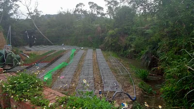 Sanyi - Photo 2