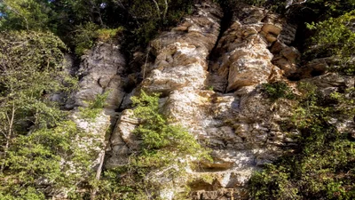 Decorah - Photo 3