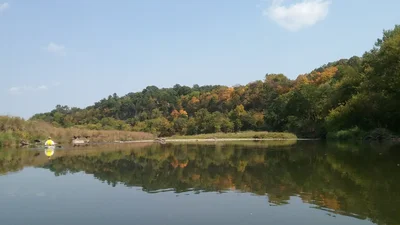 Decorah - Photo 5