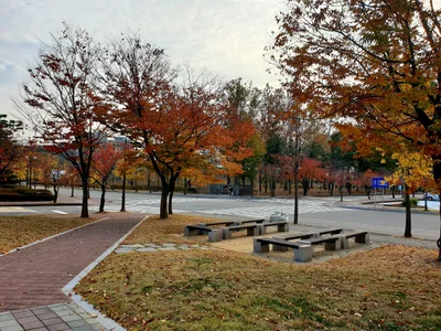 Ansan - Photo 2