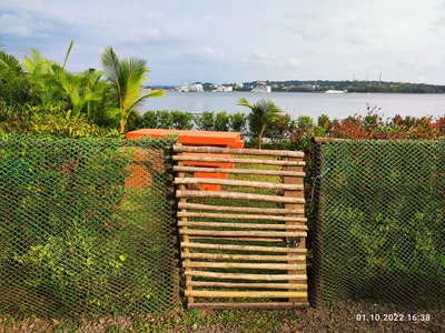 Penha-de-Franca - Photo 2