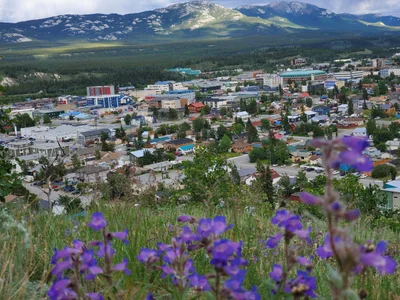 Whitehorse - Photo 2