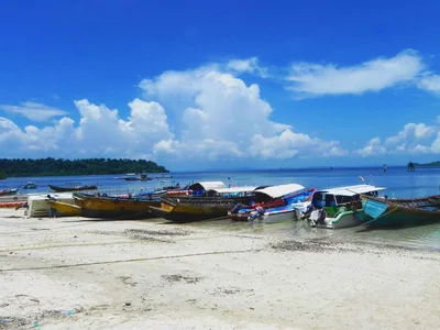 Havelock Island - Photo 4