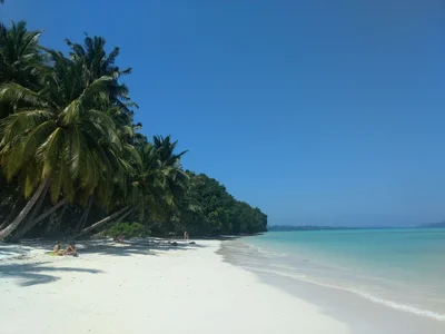 Havelock Island - Photo 5