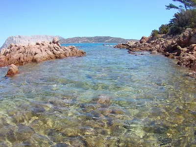 San Teodoro - Photo 2