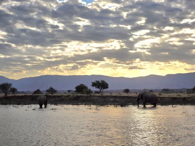 Mana Pools National Park - Photo 3