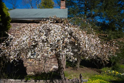 Lambertville - Photo 2