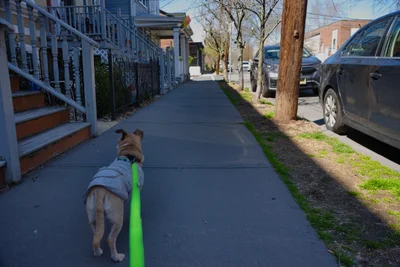 Lambertville - Photo 3